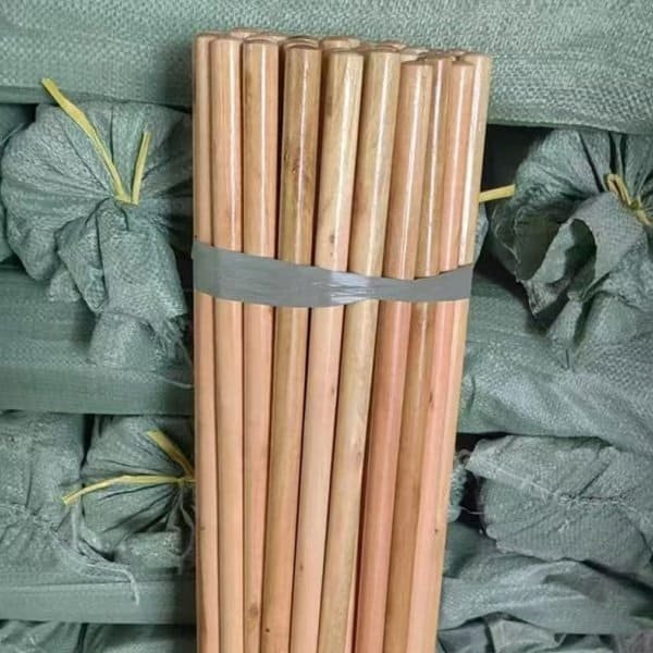 Stacked varnished wooden broom sticks with secure straps, premium handle equipped garden broom suppliers' quality goods ready for shipment
