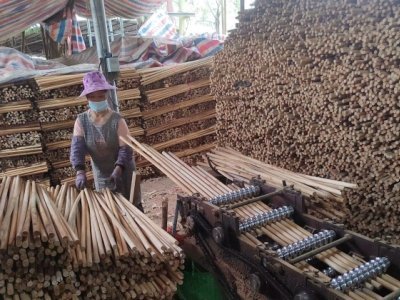 About Us 1 Broomstick manufacturers workers use straightening machines to straighten wooden broomsticks in production workshop