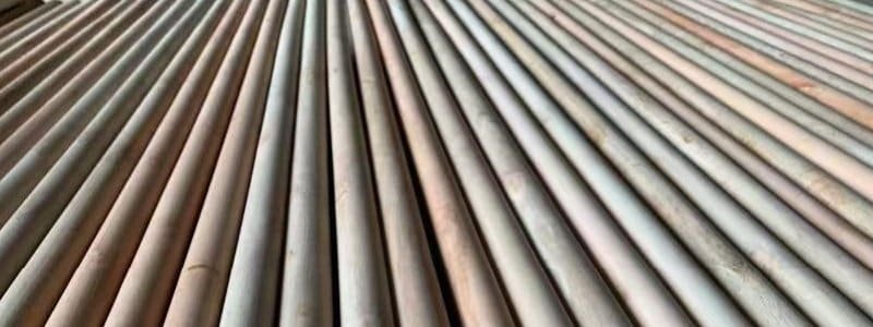 different types of broom stick natural wooden handles neatly arranged in bulk for production and B2B procurement