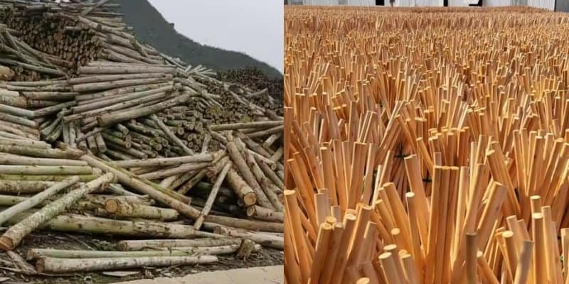 How Wooden Broom Handles Are Made: Raw Wood to Finished Goods 2 raw wood processing – eucalyptus logs to semi-finished sticks for wooden broom handle production, showing the full preparation stage