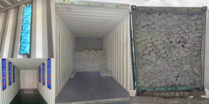 shipping and moisture-proof packaging for different types of broom handles and eucalyptus mop stick bulk export
