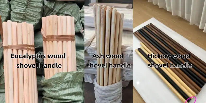 What is the best wood for shovel handles? 1 Eucalyptus, ash and hickory wooden shovel handle material comparison for wholesale suppliers and importers
